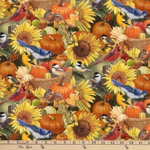 Uccelli e zucche da mezzo metro Uccelli per tutte le stagioni di David Textiles Natura Autunno Floreale Girasoli Ghiandaia azzurra Tessuto di cotone digitale