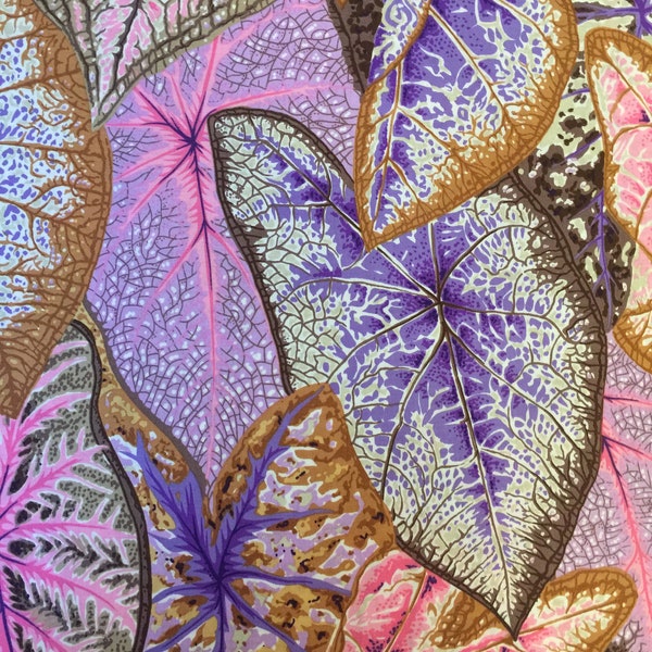 Half Yard  Kaffe Fassett Philip Jacobs Caladiums PJ108 in Pastel  FreeSpirit  Fall August 2021 Collection Floral Cotton Fabric