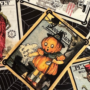 NEW! Half Yard - Pumpkin Patch Seed Packet Toss on Black by Riley Blake - Retro Vintage Halloween J Wecker Frisch Vegetables Cotton Fabric