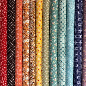 Può includere: Una collezione di rotoli di tessuto in vari colori e motivi. I tessuti includono disegni floreali, geometrici e a pois in tonalità di rosso, marrone, arancione, giallo, verde, blu e viola. I rotoli sono allineati verticalmente, mostrando i diversi motivi tessili.