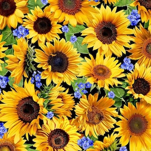 Half Yard - Summer Sunflowers - Sunflower Meadow on Black by Michael Miller - Spring Summer Garden Floral Cotton Fabric FREESHIP90