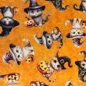 NIEUW! Halve tuin - Halloween Kittens op oranje door schatten te quilten - Halloween Cats Kitties QT Cuties katoenstof FREESHIP90