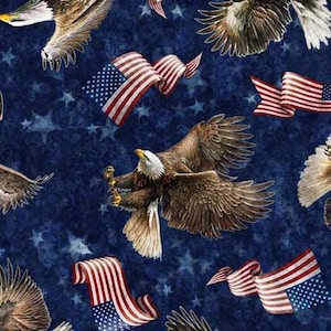 NEU! Half Yard - American Spirit Adler und Flagge werfen auf Marineblau von Quilting Treasures USA America Patchwork Quilts of Valor Baumwollstoff