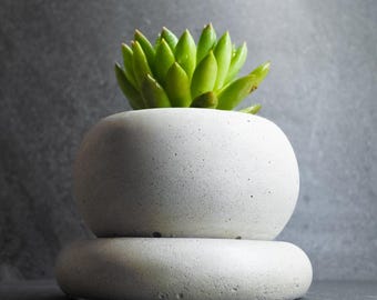 Organic Concrete Planter with Saucer: Modern Minimalist Decor