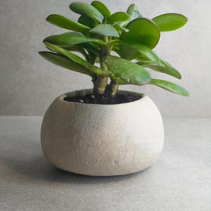 Concrete Pot  ||  Organic Cement Planter  ||  Natural Stone Pebble Form  || Minimalist Design || With Drainage Hole