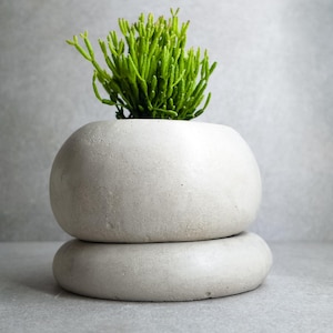 Puede incluir: Una maceta redonda de hormigón gris claro con una pequeña planta verde brillante. La maceta está compuesta por dos secciones redondeadas apiladas. La planta tiene tallos verdes delgados y verticales. El fondo es gris claro.