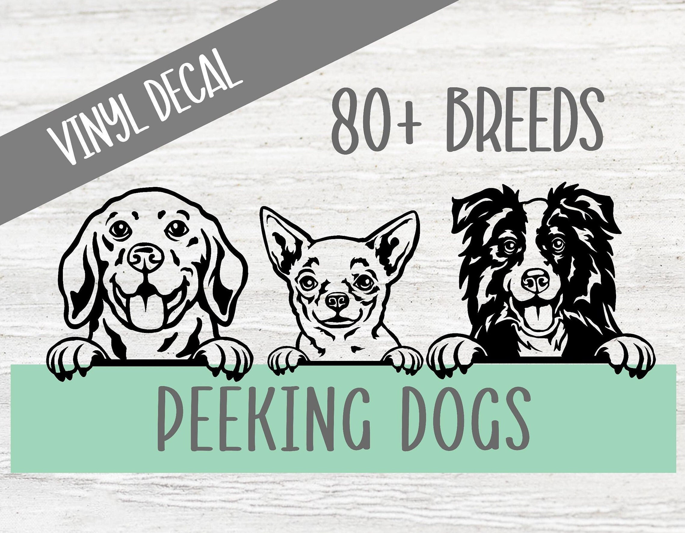 Pugs Car Window Sticker