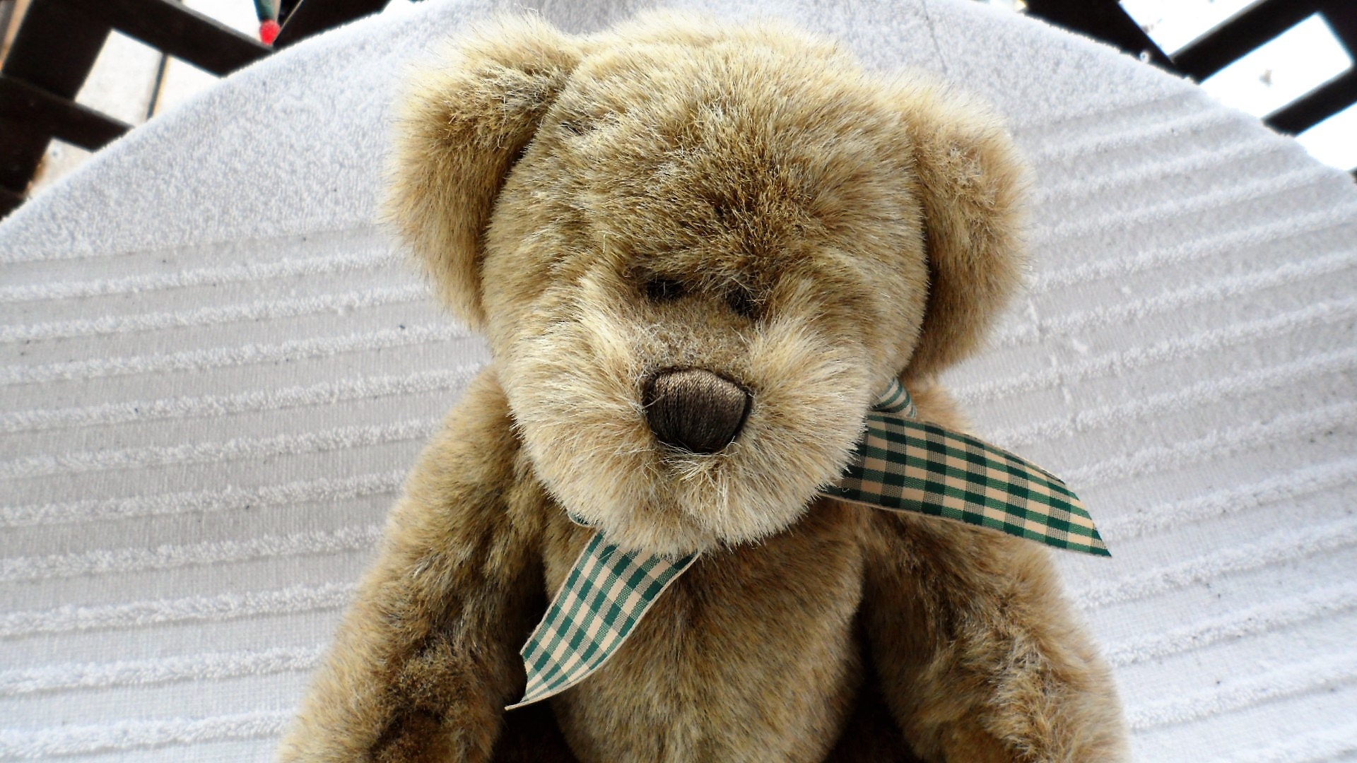 the heritage collection teddy bear