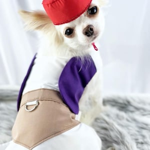 Desert Prince Pet Costume&quot; with Optional Hat