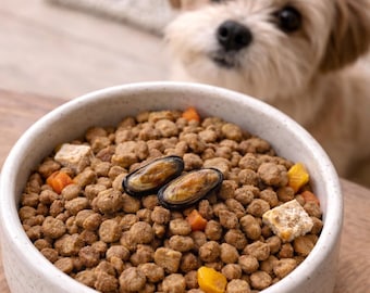 Blue Chilean Mussels for Dogs Dehydrated Single Ingredient Joint Support Treat Farm to Paw Natural Omega Rich Snack