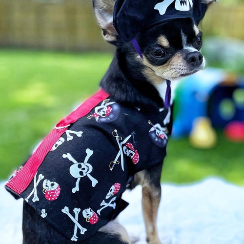 Pirate dog harness cheap