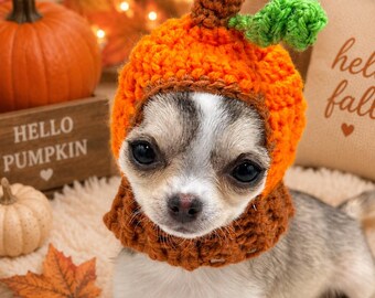 Crochet Dog Beanie for Tiny Dogs, Handmade Pet Hat for Chihuahua Yorkie, Ready to Ship Holiday Themed Pet Beanie, XXS Tiny Dog Winter Hat