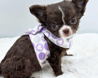 Handmade Adjustable Dog Harness: Ride or Stride, Fits Chihuahua to Doberman