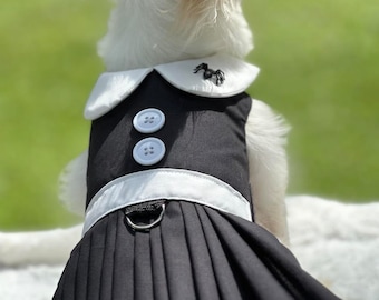 Vintage Inspired Wednesday Pet Dress: Halloween Costume with Spider Brooch