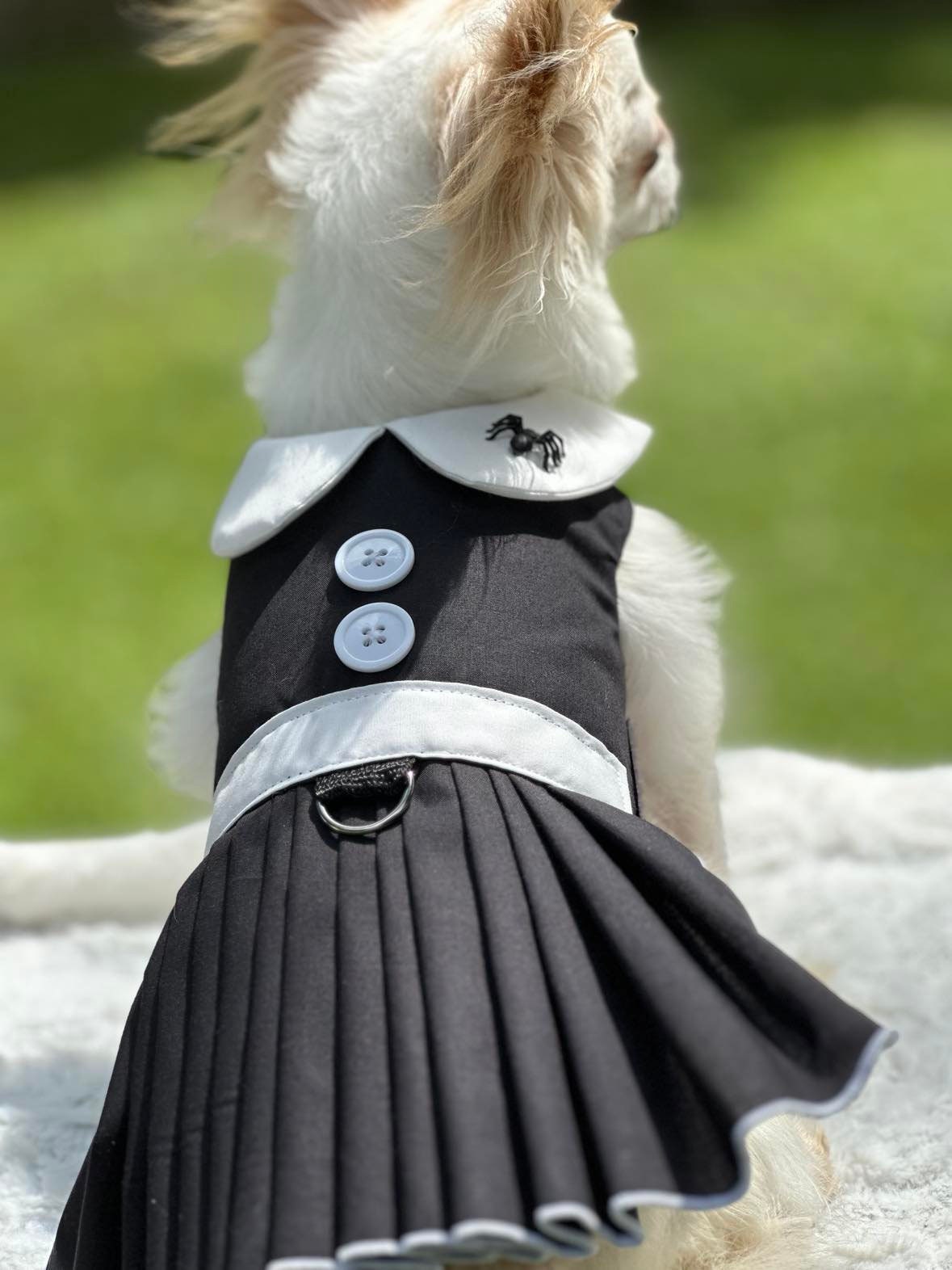Addams Family Costume Dogs UK - Main Image