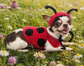 Handmade Crochet Ladybug Dog Costume, Small Dog Halloween Costume, Chihuahua Outfit, Ladybug Pet Costume, Crochet Dog Sweater