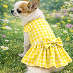 May include: A small dog wearing a yellow and white gingham dress with a bow on the back. The dog is sitting in a field of green grass and flowers. The dress has a ruffled skirt and a small silver ring on the bow.