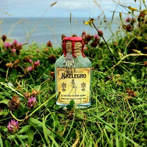 Skelegro Colour Changing Potion