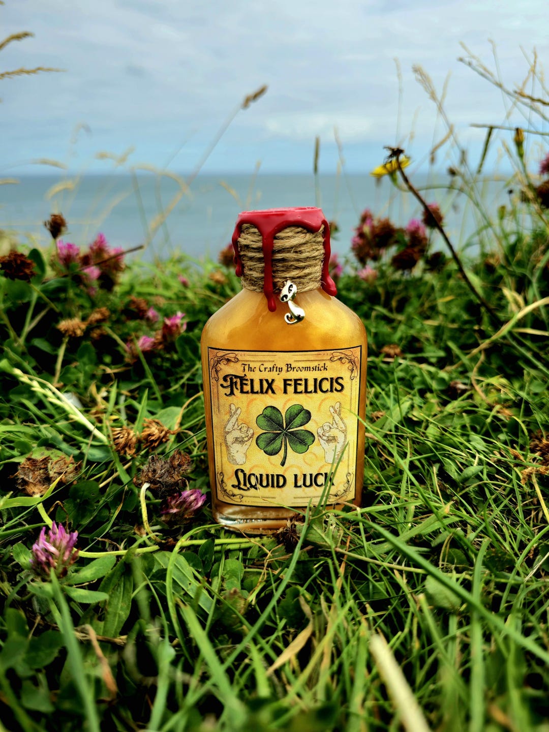 Felix Felicis Colour Changing Potion - Etsy