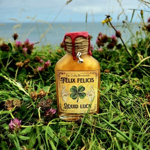 Felix Felicis colour changing Potion