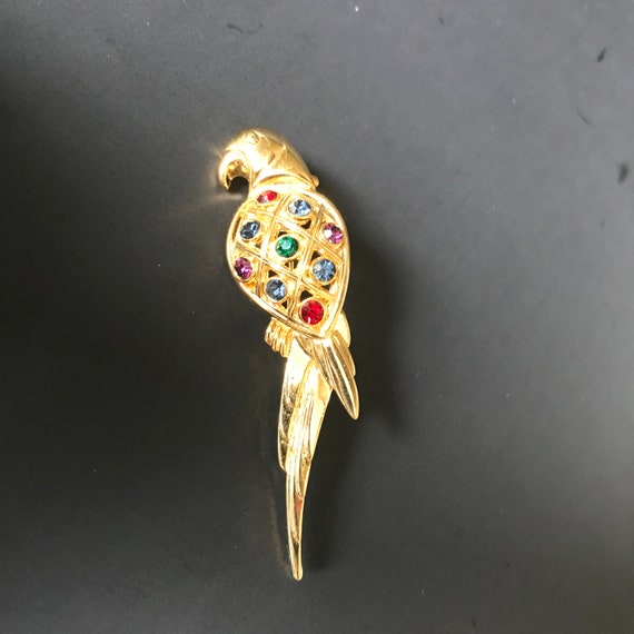 Spectacular! Bird of Paradise Parrot Pin Rhinesto… - image 7