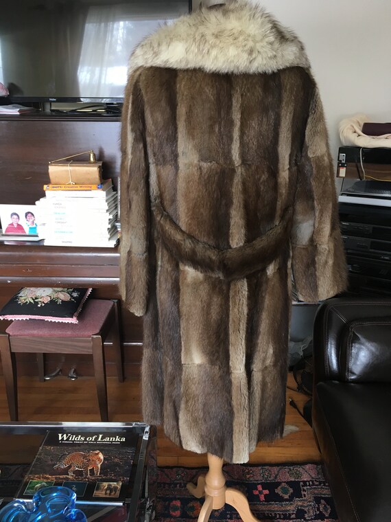 Sheared Beaver Fur with Huge Arctic Muskrat Fur Colla… - Gem