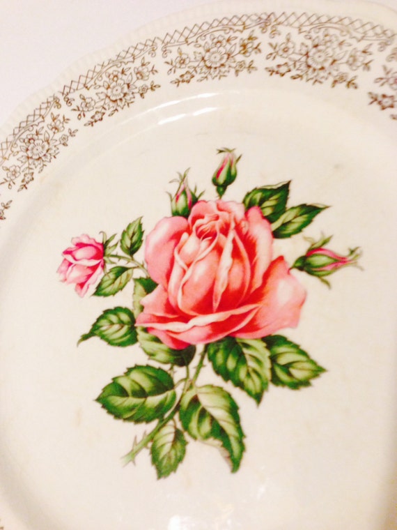 Dominion China 