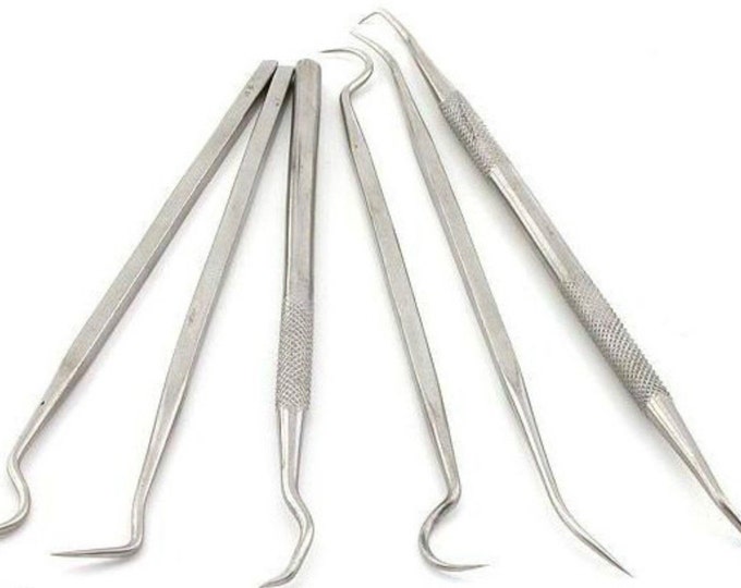 6pc Stainless Steel Dental Picks Etsy