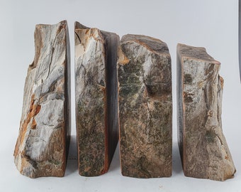 Large Fossil Wood Bookends with Quartz, Unique Gifts for Doctor, Cottagecore Shelf Decor, Retirement Gift for Boss, Home Library Accessories