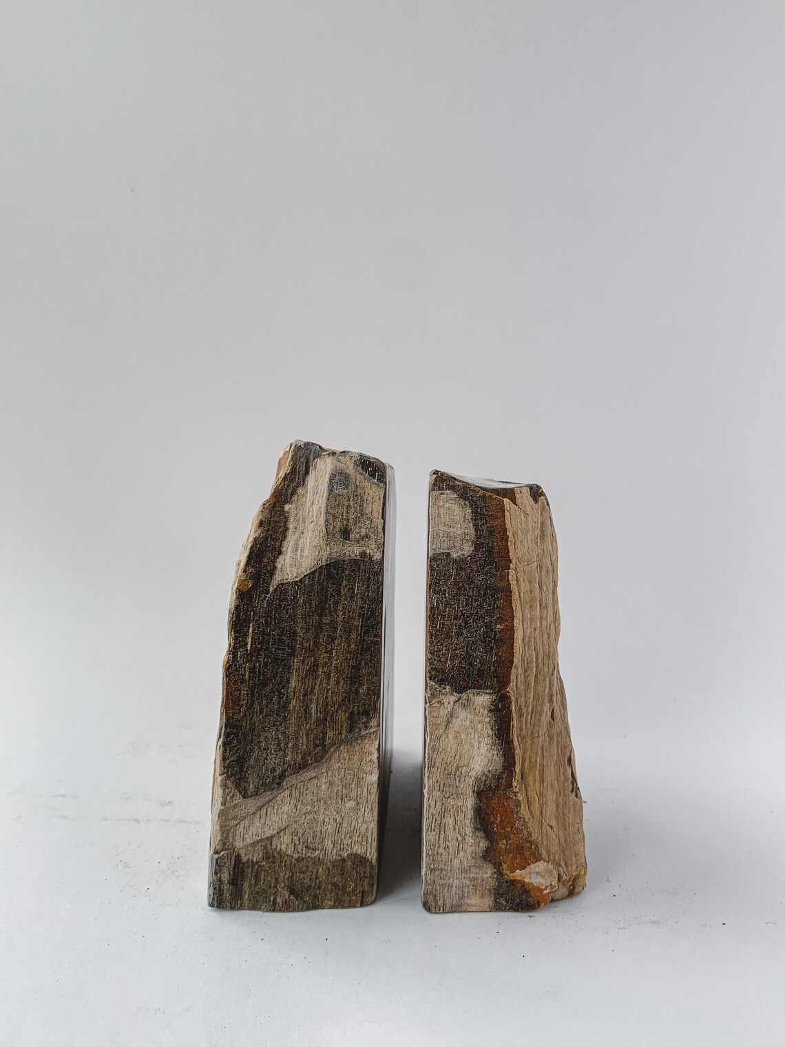 arizona petrified wood bookends arizona petrified wood bookends