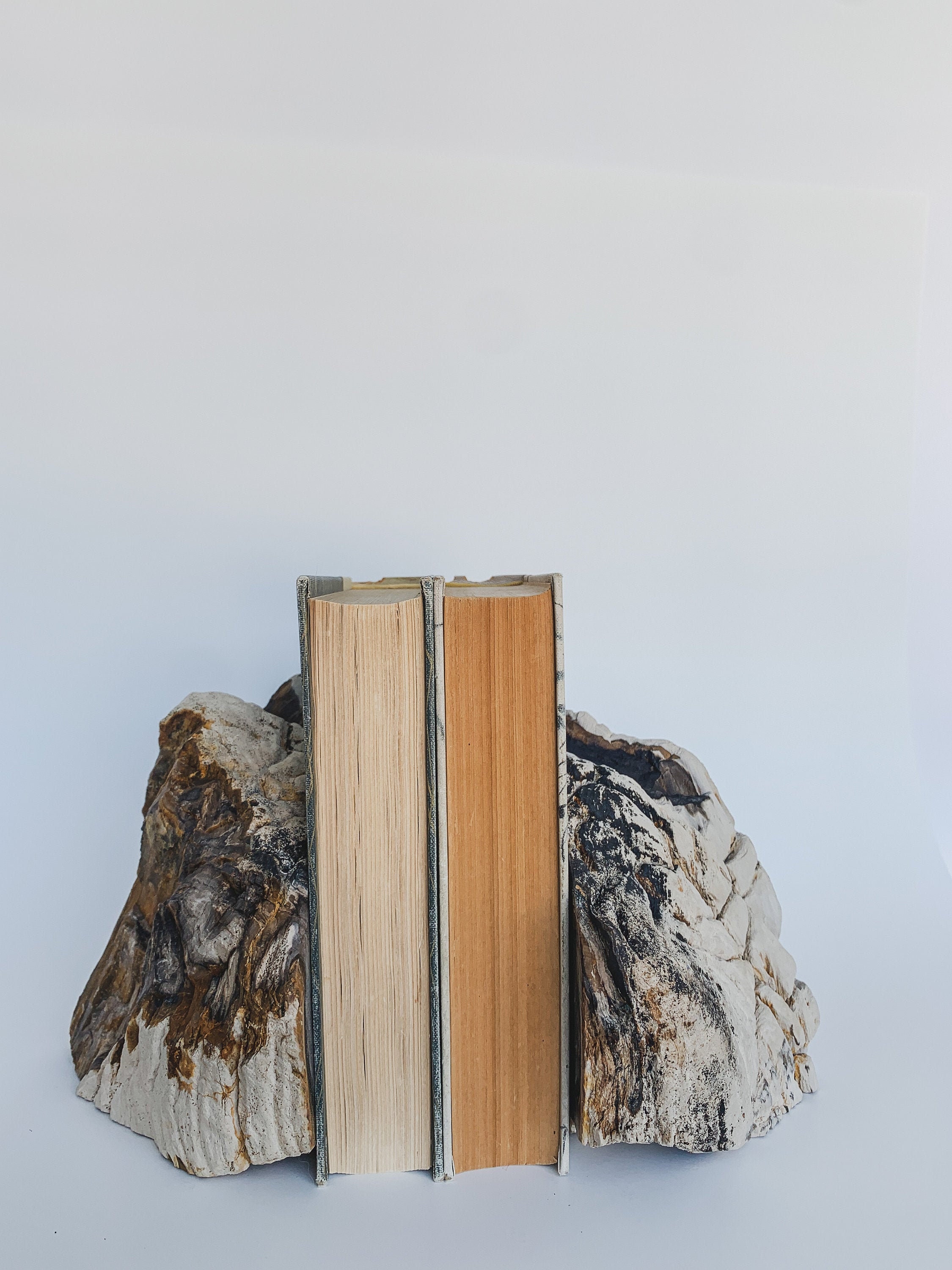 arizona petrified wood bookends arizona petrified wood bookends