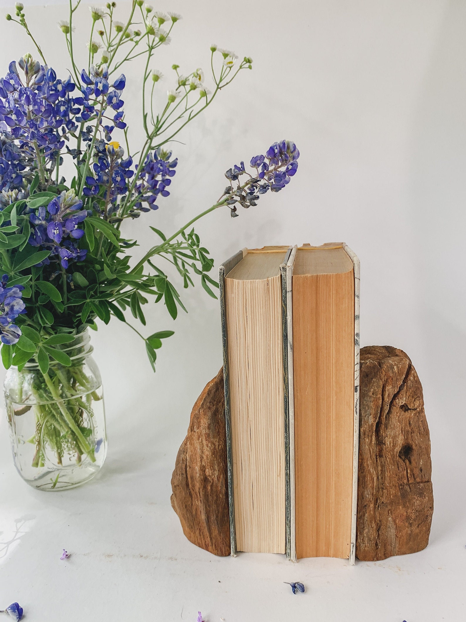 arizona petrified wood bookends arizona petrified wood bookends