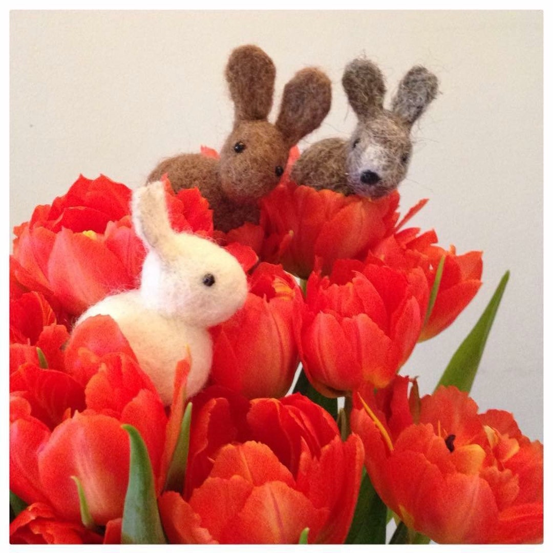Bunny Needle Felting Kit Make 2 Bunnies Great Beginners Kit - Etsy