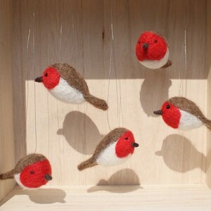 Robin needle felting kit