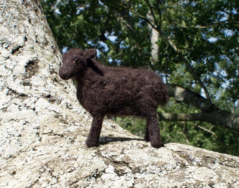 Sheep Kit Needle Felting Kit a Choice of Herdwick Jacob or Etsy UK