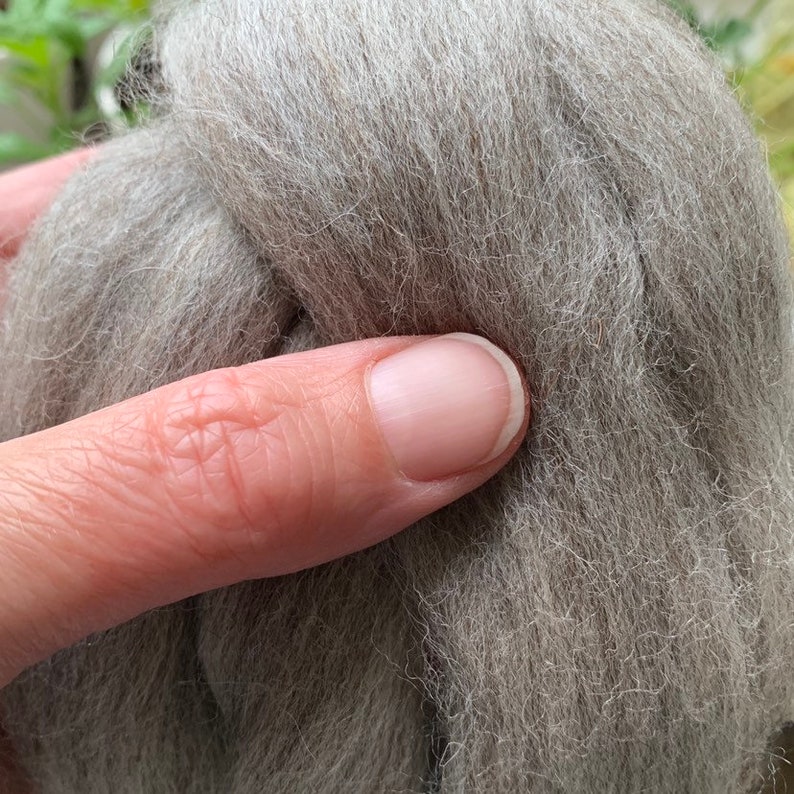 Grey Shetland wool