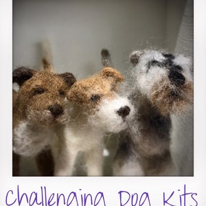 Dog needle felt kit - Challenging Kits for those with needle felting experience