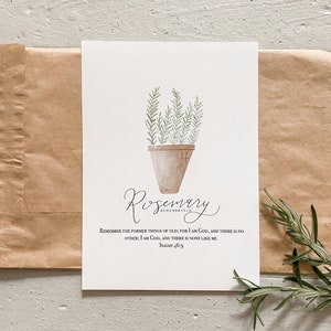 Rosemary & Co Evergreen Long Flats Brushes Range 