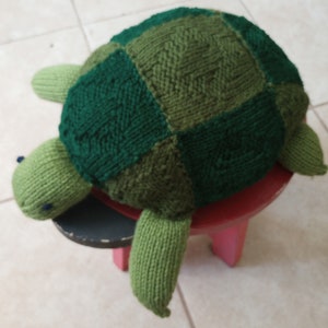 Puede incluir: Una tortuga de punto verde con un caparazón a cuadros. La tortuga está sentada en un taburete rojo.
