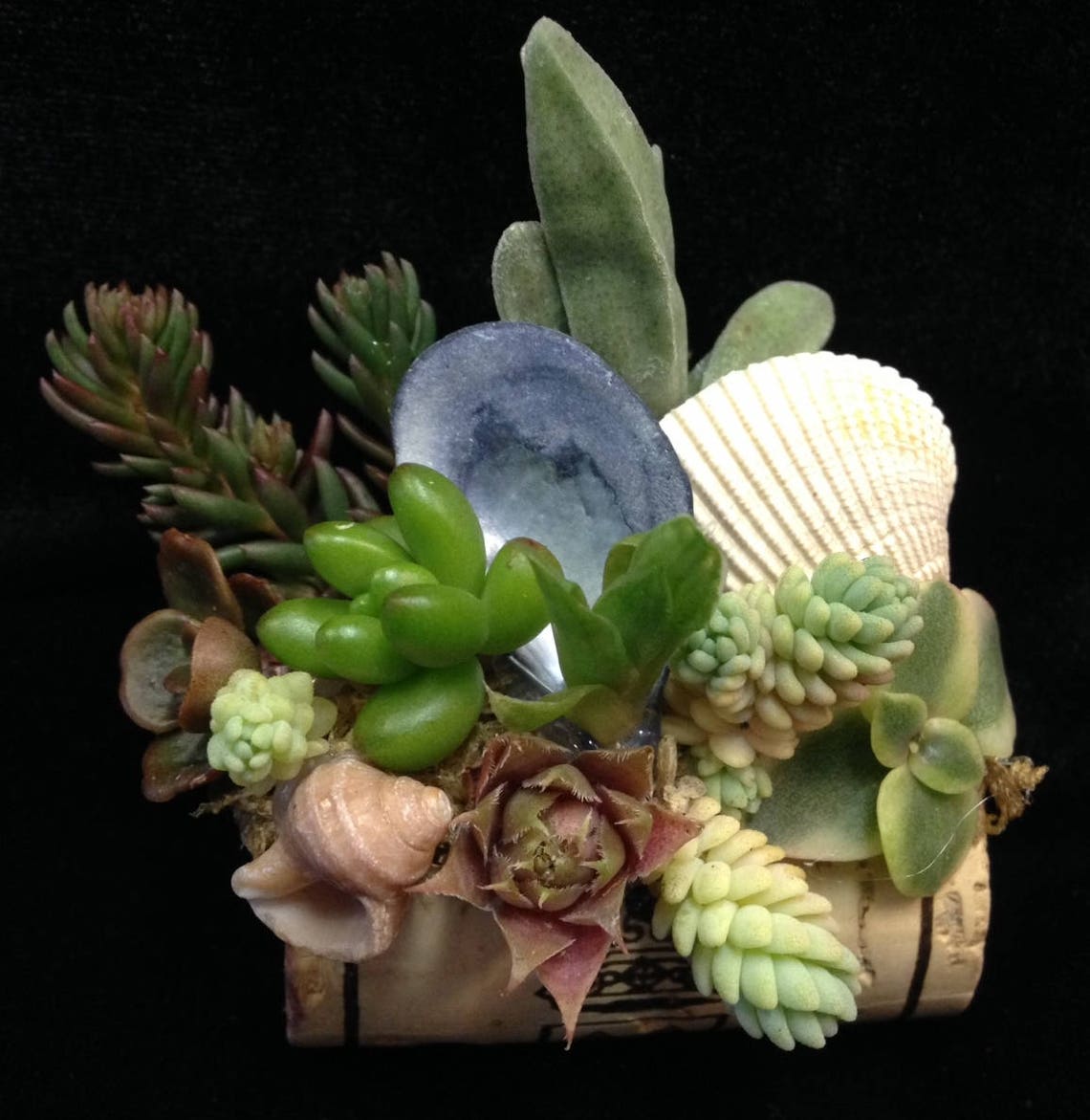 Wine Cork With Mini Garden Etsy