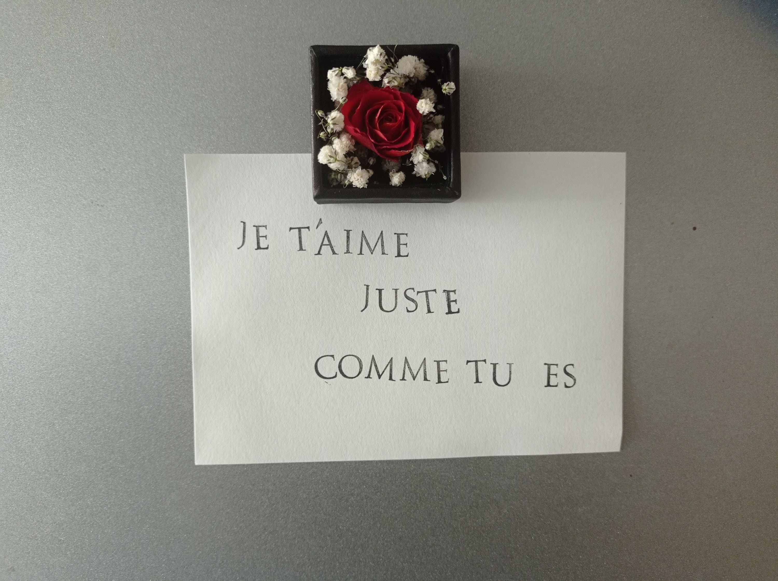 Flower Magnet | Orange Rose , Gypsophila