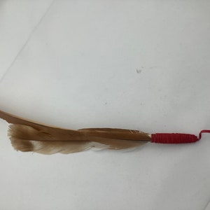 Smudge bundel van pauwen en kalkoenveren