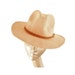 see more listings in the Felt Hat Collection section