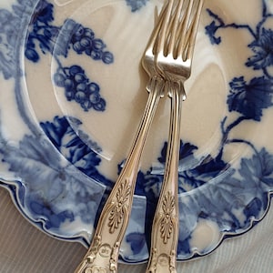 Op de afbeelding: Twee zilveren vorken met sierlijke handvatten liggen op een witte plaat met een blauw bloemmotief. De plaat heeft een geschulpte rand en een patroon van druiven en bladeren. De vorken hebben een schelpachtig ontwerp aan de basis van het handvat.
