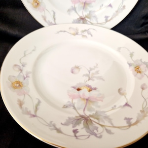 Porcelain Epiag Vintage Antique porcelain 2 dessert plate germany Decor Gift for women Czechoslovakia