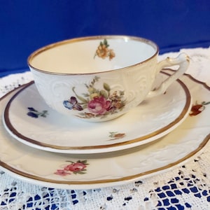 HAAS & CZJZEK (Green, Bohemia) - 1918-1938 year Antique porcelain Tea cup Trio Antique gift Flower Rare porcelain hand-painted
