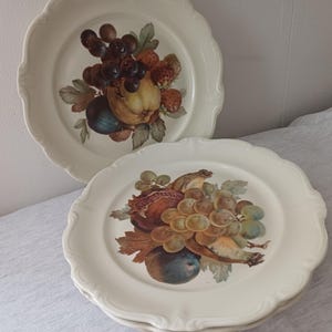 Plato antiguo de porcelana Rosenthal, 4 piezas, año 1940. Colección de platos de postre de frutas raras de Rosenthal.