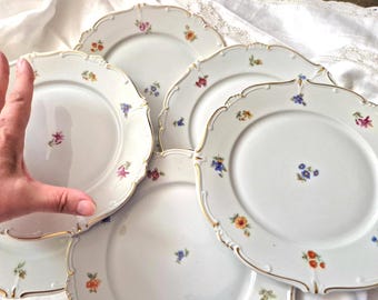 May include: A set of five white porcelain plates with scalloped edges and gold trim. Each plate features small, colorful floral decals scattered across the surface, including blue, yellow, pink, and orange blossoms in the center and along the rims.