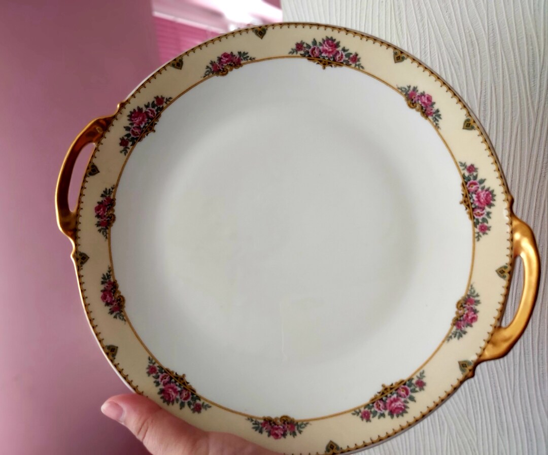 Limoges Robert Haviland France Antique Porcelain Plate 1920 Etsy