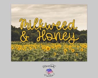 Milkweed & Honey – Fun Handwritten Script Font | Stylized Script | Stylized Font for Cricut, Canva, Procreate, Goodnotes | Instant Download